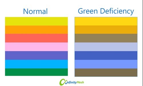 Difference between normal and green deficiency